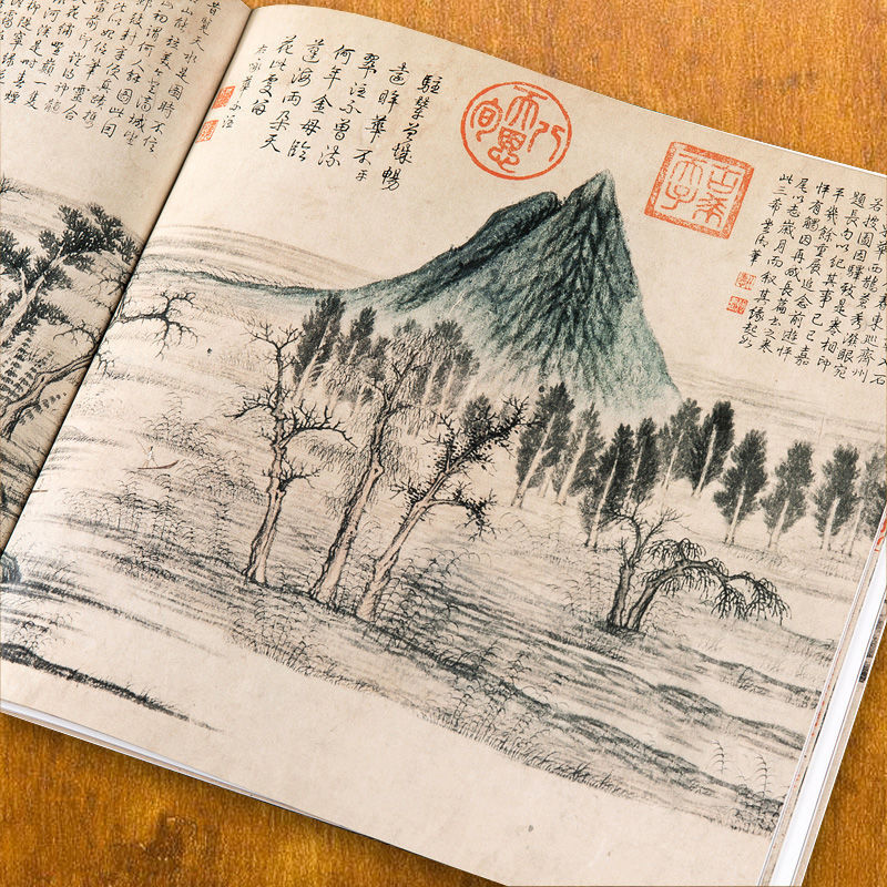 Qi Baishi Serbest Boyama Kitab - Chinese Calligraphy Practice Book incelemesi ve fiyatı
